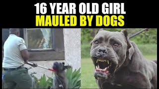 Girl, 16 Mauled By Pack of Dogs