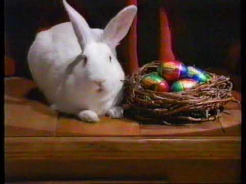 hqdefault.jpg?sqp=-oaymwEmCOADEOgC8quKqQ