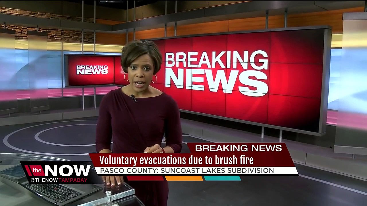 Brush fires prompt voluntary evacuations in Pasco County - YouTube