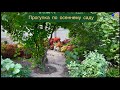 Прогулка по участку / Снимаю дом, сажаю цветы / Garden сoleus