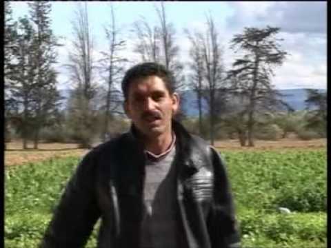 L3id Taourirti 2009 Na3tik Galbi 