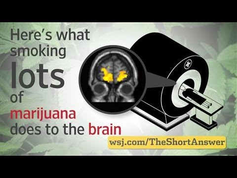 Marijuana: Heavy Users Risk Changes to Brain