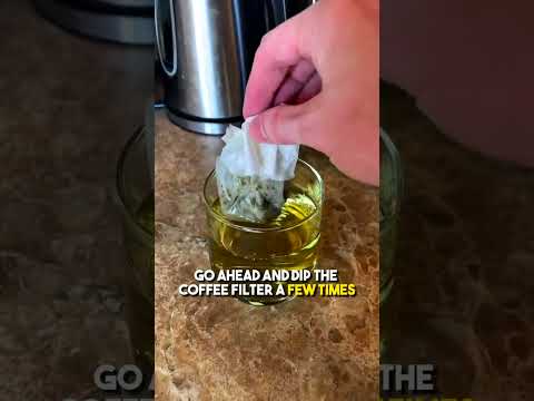 Send this to someone you wanna try this with❤️ #shorts #cat #kitten #funnycat #cutecat