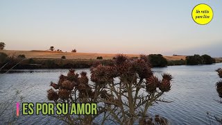 Video thumbnail of "Es por su amor (Canción) v-2024."