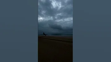 انا ياما مشيت وياك ي زمان حالات 