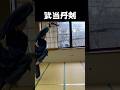 武当丹剣/Wu dang Dan sword #kungfu #martialarts #Wu dang #武当 武当丹剣