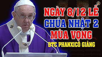 (NGÀY 08/12) LỄ CHÚA NHẬT 2 MÙA VỌNG | Bài giảng SÂU SẮC CỦA Đức Thánh Cha Phanxicô