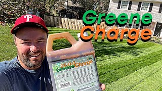 When To Fertilize After Overseeding / Renovation