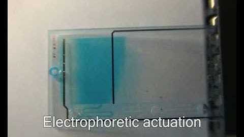 A microfluidic approach for high efficiency extraction of low molecular weight RNA