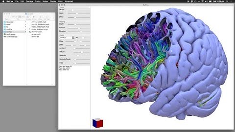 Surf Ice mesh rendering