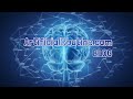 How to Set Up DeepSeek R1 Locally with Ollama & AnythingLLM | Private AI Configuration Guide