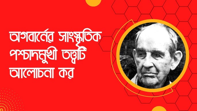 Avtobusda qizlarning oyoqlari orasidagi fotosuratlar