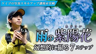 【超実践】幻想的な紫陽花の撮り方７ステップ【一眼カメラ・初心者】