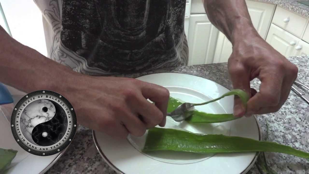 How To Eat Aloe Vera 15 Steps With Pictures Wikihow