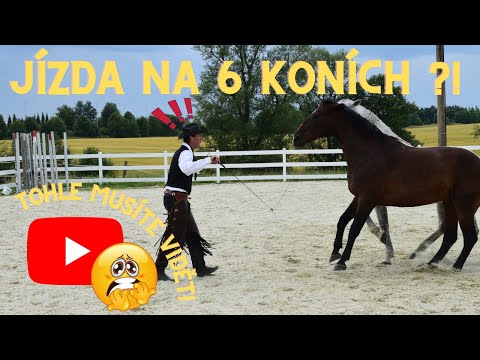 Video: Nemohli jste se zúčastnit nebo zúčastnit?