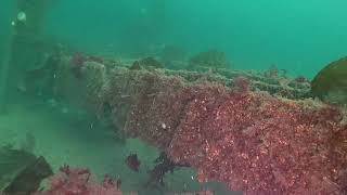 Gideons Dive Squad At Porteau Cove