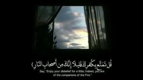 ماهر المعيقلي| حالات واتس اب دينية سورة الزمر 🥺