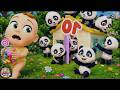 5 Little Baby Pandas and the Boo Boo Adventure 🐼✨ | Kids Songs