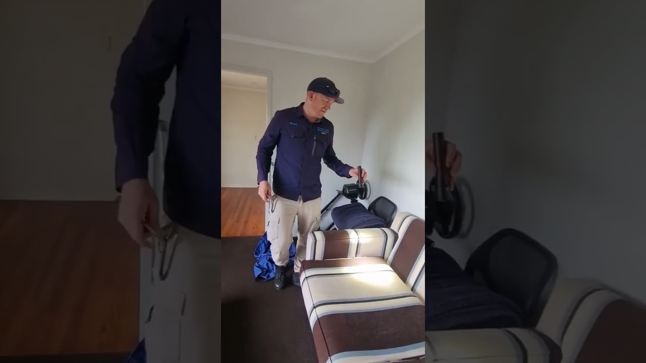 Man Discovers Snake Hiding in His Couch