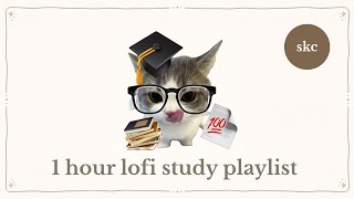 i'm pulling another all nighter | study kitty cafe