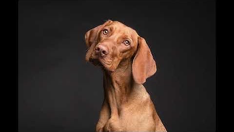 Thumbnail of Magnus Ludvigsson - By the Creek (Solo Piano, Modern Classical)