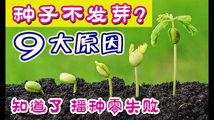 种子为什么不发芽？影响种子萌发的9个因素你都知道吗？解答育苗常见问题 | 这些致命错误你犯过几个？学会这些秘诀，种子播种零失败 9 reasons why seeds won't germinate - 天天要闻