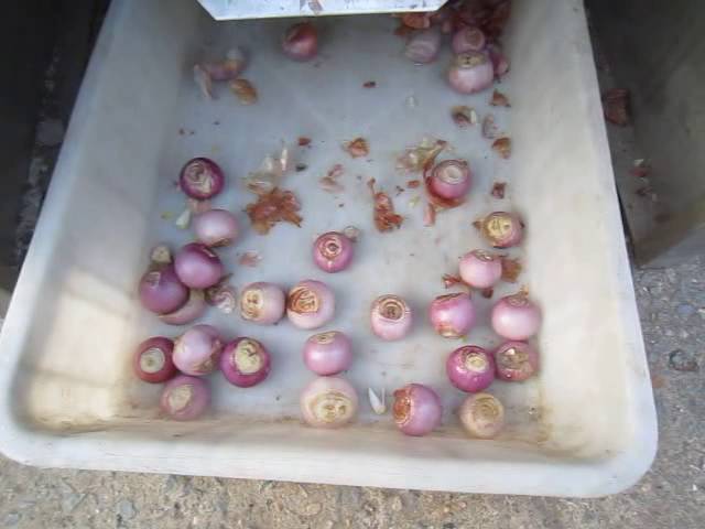 Onion peeler, www.gelgoog.com/product/other/onion-peeling-m…