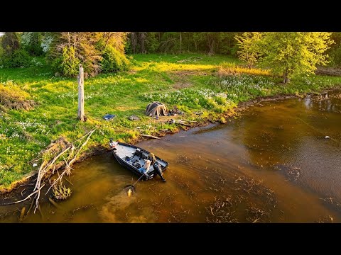 Over Night In the Canadian Wilderness for Big Wild Carp