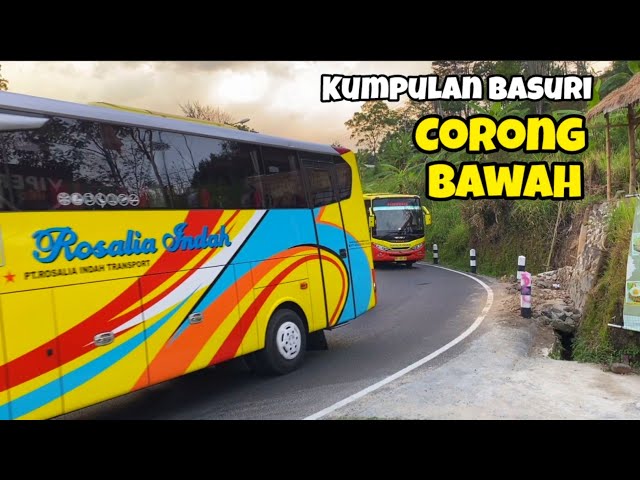 Kumpulan Klakson Basuri Corong Bawah class=