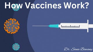 Vaccine and Immune Response || How Vaccine Works