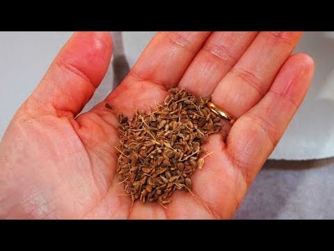 eliminar arrugas entrecejo remedios caseros SI TIENES MÁS DE 30 AÑOS FROTA ESTE MAGO EN TU PIEL Y TUS ARRUGAS SE DESVANECERÁN AL INSTANTE
