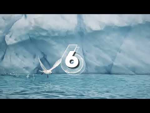 10 Incredible Animals