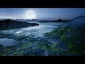 歌のない歌謡曲~ サクソフォーン音樂