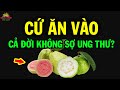 BÁC SĨ tiết lộ mỗi ngày cứ ăn 1 QUẢ ỔI sẽ nhận cả 100 ĐIỀU KỲ DIỆU đến với Sức Khỏe | SKMN