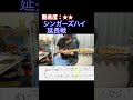 【延長戦/シンガーズハイ】毎日ギターソロ 345日目【TAB譜】