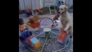 GILA! CUMA ORANG JENIUS YANG BISA PAHAM JOKE INI!