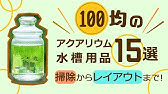 危険すぎる100均のバクテリア剤 使用を中止 アクアリウム水槽熱帯魚 Youtube