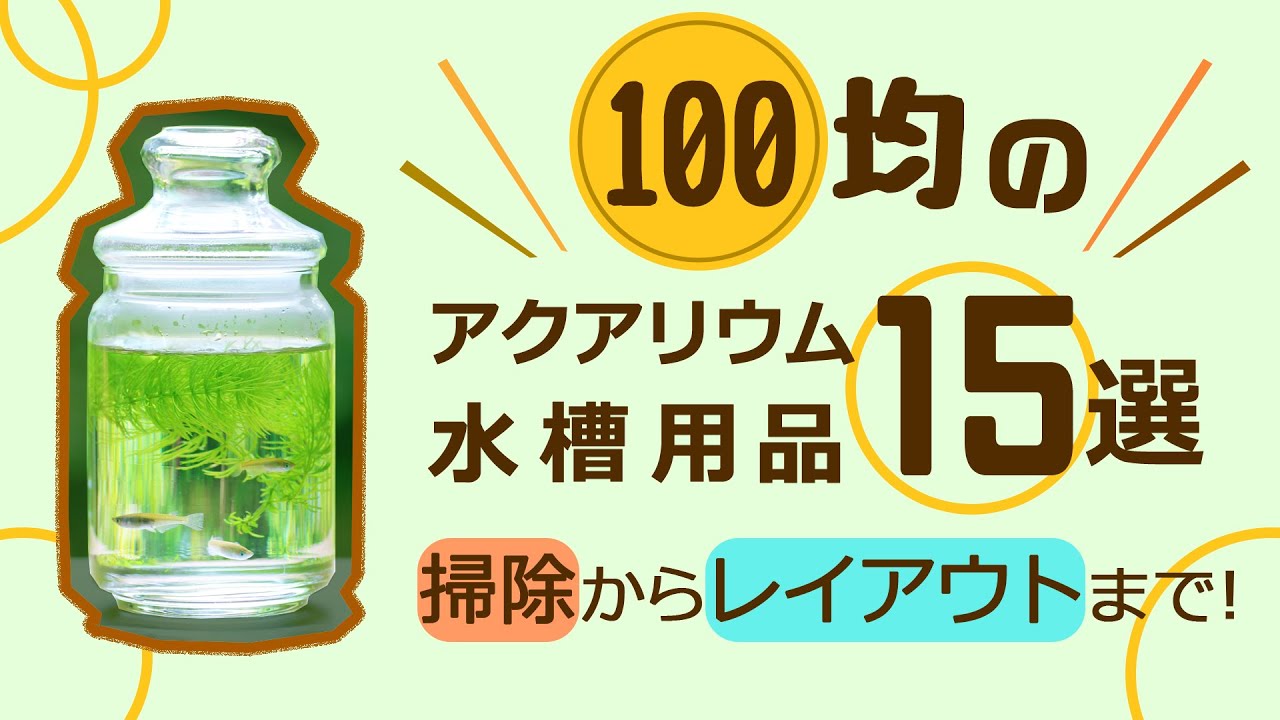 100均でアクアリウム 金魚水槽用品17選 掃除からレイアウトまで 東京アクアガーデン