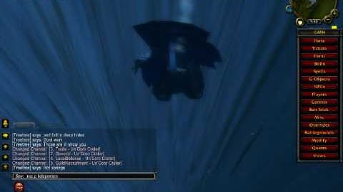 Scicon WoW Fun Teleporter NPC