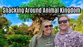 Snacking Around Animal Kingdom