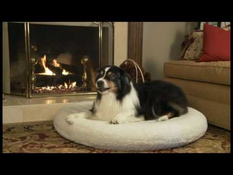 precision-pet-products:-snoozzy-orthoair-product-demo