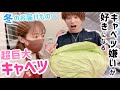 【杉浦家の初雪】冬の贈り物!