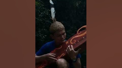 PENAMPAKAN SUKU DAYAK ‼️ RELAWAN WILD WATER INDONESIA MEMAINKAN ALAT MUSIK SAPE ‼️ 2022 #Shorts
