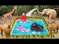 Forest pothole bamboo swimming pool wild animals bathing hindi kahaniya hindi stories moral stories
