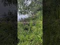 А где и как ловите щуку вы?) #fishing #рыбалка #улов #щука