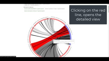 How to Use Synteny Viewer