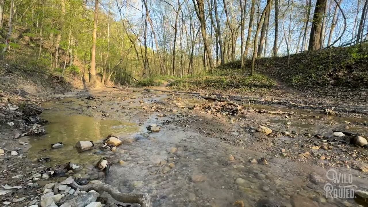 Spring Creek Preserve Water and Bird Sounds 1   HD 1080p