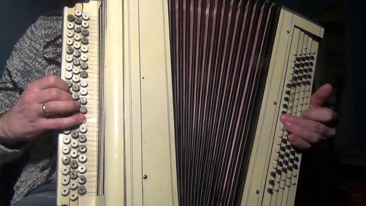 Баян крупным планом