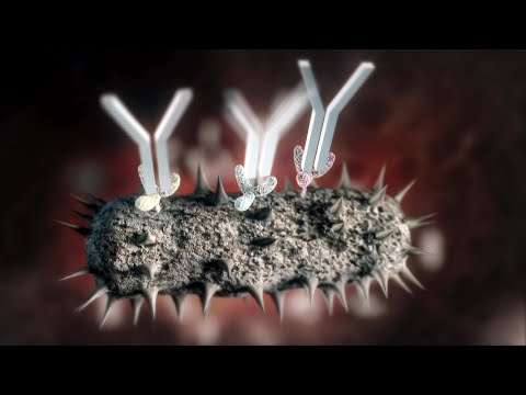 Video: Wieder ARVI. Wie Kann Man Viren Effektiv Bekämpfen?