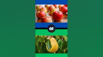 Tebak Siapakahaku Edisi Buah Buahan Part 85 #quiz #kuistebakgambar #shortsfeed #feed #siapakahaku